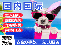 西宁曹家堡航空邮寄国际宠物托运 【国